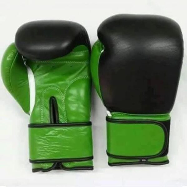 WhatsApp Image 2025 02 25 at 11.33.47